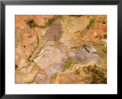The Paddy Lands Of The South Central Plateau In Madagascar by Michael Fay Pricing Limited Edition Print image