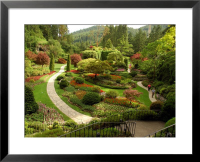 Sunken Garden At Butchart Gardnes, Victoria, British Columbia by Darlyne A. Murawski Pricing Limited Edition Print image