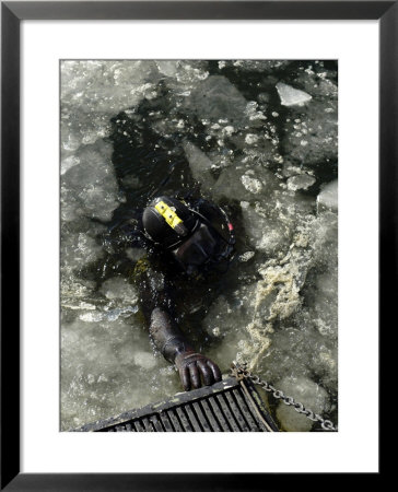 Us Navy Diver Swims Back To The Dive Training Boat by Stocktrek Images Pricing Limited Edition Print image