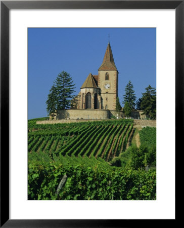 Church And Vineyards, Hunawihr, Alsace, France, Europe by John Miller Pricing Limited Edition Print image
