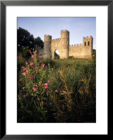 Wild Flowers In Front Of Sham Castle At Dusk In Bath, England by Richard Nowitz Pricing Limited Edition Print image