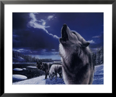 Howling Wolves by Kevin Daniel Pricing Limited Edition Print image