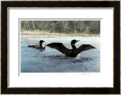 Yodeling - Common Loon by Carl Arlen Pricing Limited Edition Print image