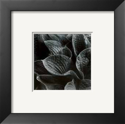 Untitled (Leaves) by Morry Katz Pricing Limited Edition Print image