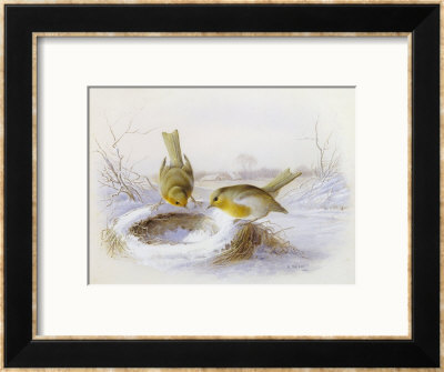 Last Year's Nest by Harry Bright Pricing Limited Edition Print image