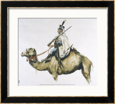Trooper Of The Camel Corps Of Napoleon's Egyptian Campaign by Edouard Detaille Pricing Limited Edition Print image