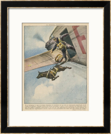 Finnish Parachutist Jumps With His Dog by Vittorio Pisani Pricing Limited Edition Print image