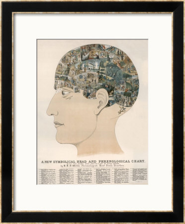 Phrenological Head by R.B.D. Wells Pricing Limited Edition Print image