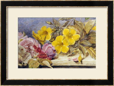 A Still Life Of Roses And Other Flowers On A Ledge by Mary Elizabeth Duffield Pricing Limited Edition Print image
