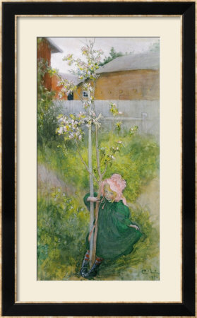 Appleblossom, 1894 by Carl Larsson Pricing Limited Edition Print image