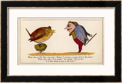 Hush! I Perceive A Young Bird In This Bush! by Edward Lear Pricing Limited Edition Print image