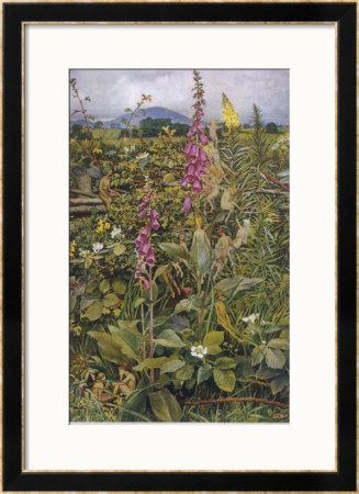 Naked Fairies Among The Foxgloves In Ancient Britain by Eleanor Fortescue Brickdale Pricing Limited Edition Print image