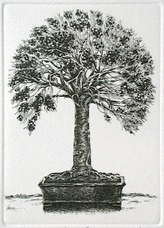 Bonzai Ii by Marc Jurt Pricing Limited Edition Print image