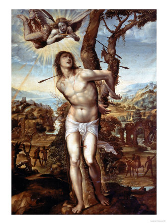 Saint Sebastian Of Sodom, Palatine Gallery, Palazzo Pitti, Florence by Giovanni Antonio Bazzi Sodoma Pricing Limited Edition Print image