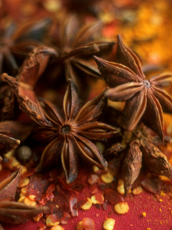 Star Anise by David Loftus Pricing Limited Edition Print image