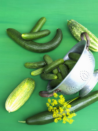 Various Types Of Cucumber And A Metal Colander by Jörn Rynio Pricing Limited Edition Print image