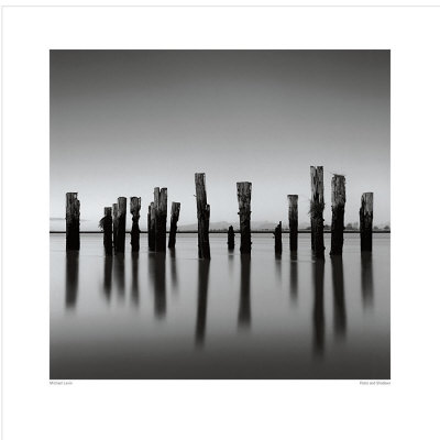 Posts And Shadows by Michael Levin Pricing Limited Edition Print image