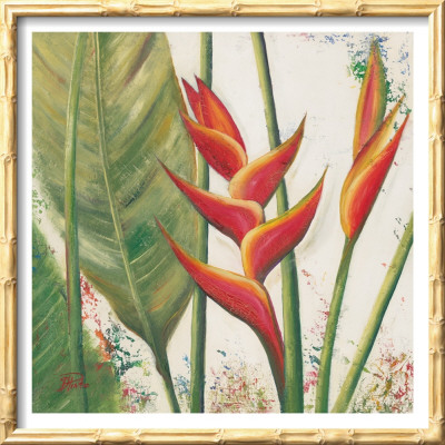 Helliconias With Leaves Ii by Patricia Quintero-Pinto Pricing Limited Edition Print image