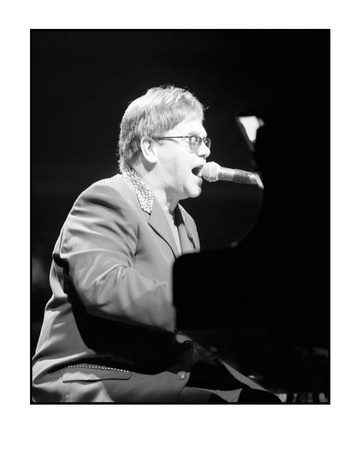 Elton John by John Schultz Pricing Limited Edition Print image