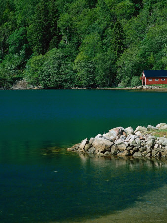 Trees And House On South Coast, Lofoten, Norway by Harry Parsons Pricing Limited Edition Print image