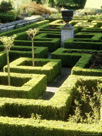 Knot Garden With Formal Hedging, In Sunlight At Abbotswood, Gloucestershire by Mark Bolton Pricing Limited Edition Print image