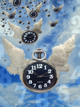 Time Flies by Jay Daniel Pricing Limited Edition Print image
