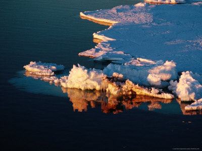 Free Floating Pieces Of Antarctic Sea-Ice, Antarctica by Chester Jonathan Pricing Limited Edition Print image