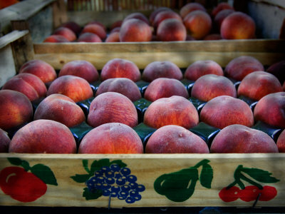 Peaches For Sale At The Market, Vence, France by Robert Eighmie Pricing Limited Edition Print image