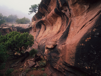 Sandstone With Desert Varnish, Colorado National Monument, Colorado, Usa by Robert Kurtzman Pricing Limited Edition Print image