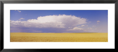 Clouds Over A Wheat Field, Washington State, Usa by Panoramic Images Pricing Limited Edition Print image