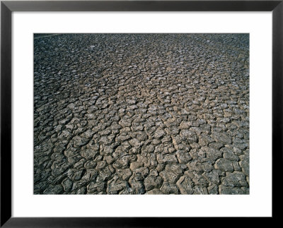 Arid Landscape, Cape York Peninsula, Australia by Oliver Strewe Pricing Limited Edition Print image