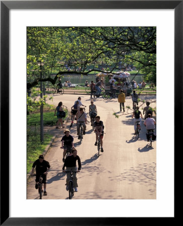 Bike Traffic, Vondelpark, Amsterdam, Netherlands by Walter Bibikow Pricing Limited Edition Print image