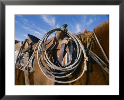 A Close View Of A Saddled Horse And A Rope by Jodi Cobb Pricing Limited Edition Print image