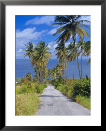Palm Lined Road To Bathsheba, Barbados, West Indies, Caribbean, Central America by Gavin Hellier Pricing Limited Edition Print image