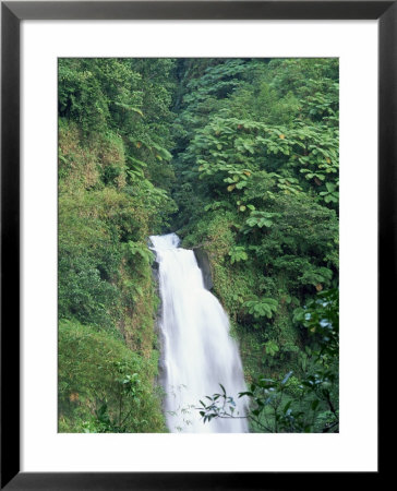 Trafalgar Falls, Roseau Region, Island Of Dominica, West Indies, Caribbean, Central America by Bruno Barbier Pricing Limited Edition Print image