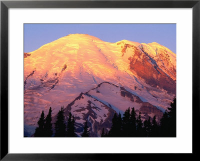 Slopes Of Mt. Rainier In Sunrise Area, Mt. Rainier National Park, Usa by John Elk Iii Pricing Limited Edition Print image