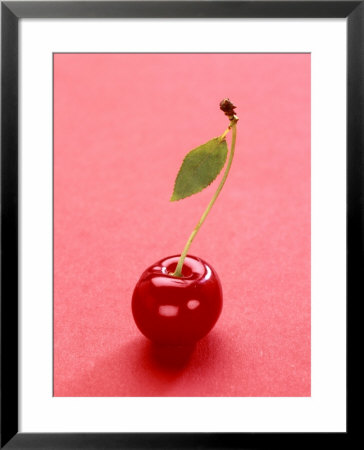 Red Cherry With Stalk And One Leaf by Axel Struwe Pricing Limited Edition Print image