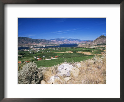 View Westwards Over Vineyards To The Town On An Isthmus In Osoyoos Lake, Osoyoos, Canada by Ruth Tomlinson Pricing Limited Edition Print image