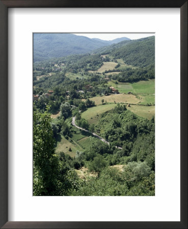Colli Bolognesi, Emilia Romagna, Italy by Michael Newton Pricing Limited Edition Print image