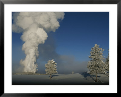Winter View Of Old Faithful Geyser Erupting by Norbert Rosing Pricing Limited Edition Print image