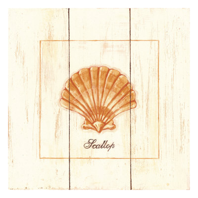 Rustic Shells: Scallop by Cynthia Rodgers Pricing Limited Edition Print image