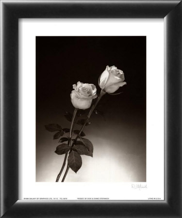 Red And Pink Roses by Elizabeth King Brownd Pricing Limited Edition Print image