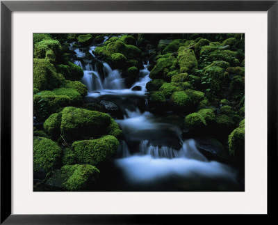 Moss Covered Rock Surrounding A Cascading Stream by Melissa Farlow Pricing Limited Edition Print image