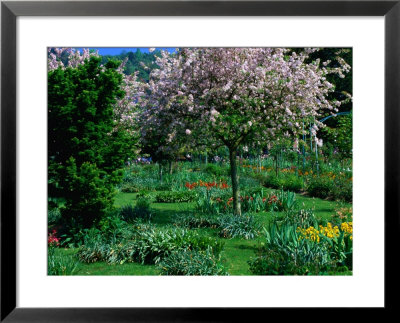 Blossom Tree At Monet's Garden Giverny, Haute-Normandy, France by John Hay Pricing Limited Edition Print image