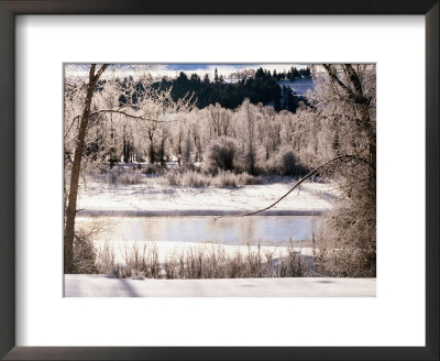 Gross Ventre River Surrounded By Snow And Trees, Grand Teton National Park, Wyoming by Richard Cummins Pricing Limited Edition Print image