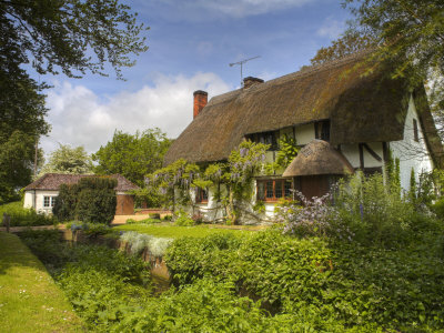 Traditional Thatched Cottage In The Village Of Rockbourne, Hampshire, England by Adam Burton Pricing Limited Edition Print image