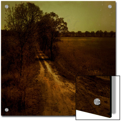 Dirt Trail Through Trees by Ewa Zauscinska Pricing Limited Edition Print image
