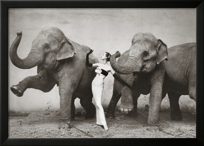 Dovima With Elephants, C.1955 by Richard Avedon Pricing Limited Edition Print image