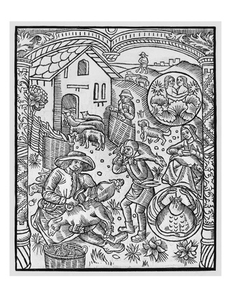 June, Sheep Shearing, Gemini, Illustration From The 'Almanach Des Bergers', 1491 by Pierre Le Rouge Pricing Limited Edition Print image