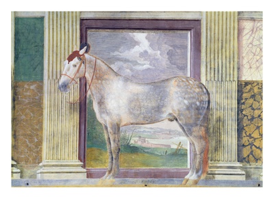 Sala Dei Cavalli, Showing Portrait Of 'Dario', Horse From Stables Of Ludovico Gonzaga Iii Of Mantua by Giulio Romano Pricing Limited Edition Print image